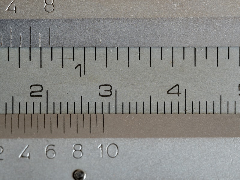 Penis Length